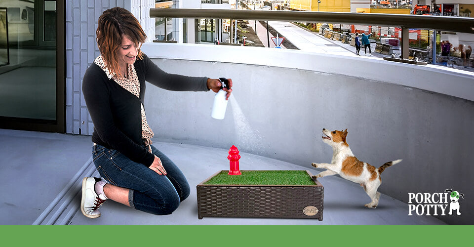 A dog owner sprays a Porch Potty to clean it