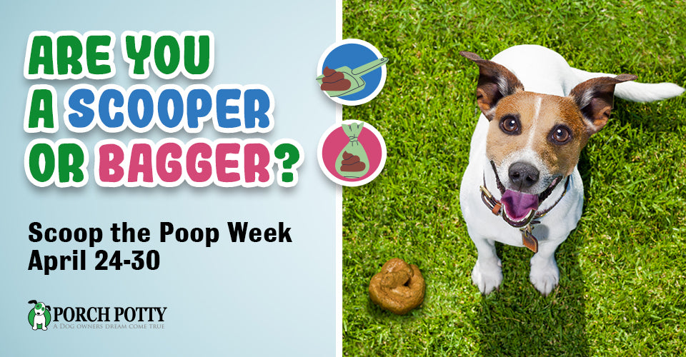 Odysseus Stolthed Våbenstilstand Scoop The Poop Week: Why It's Crucial To Pick Up After Your Dog – Porch  Potty USA