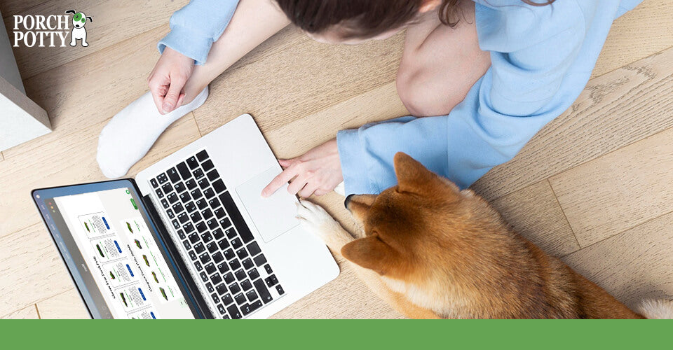 A dog owner does some research by her pooch