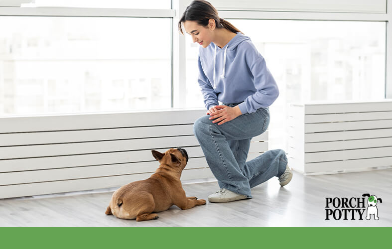 A dog owner kneels in front of their puppy