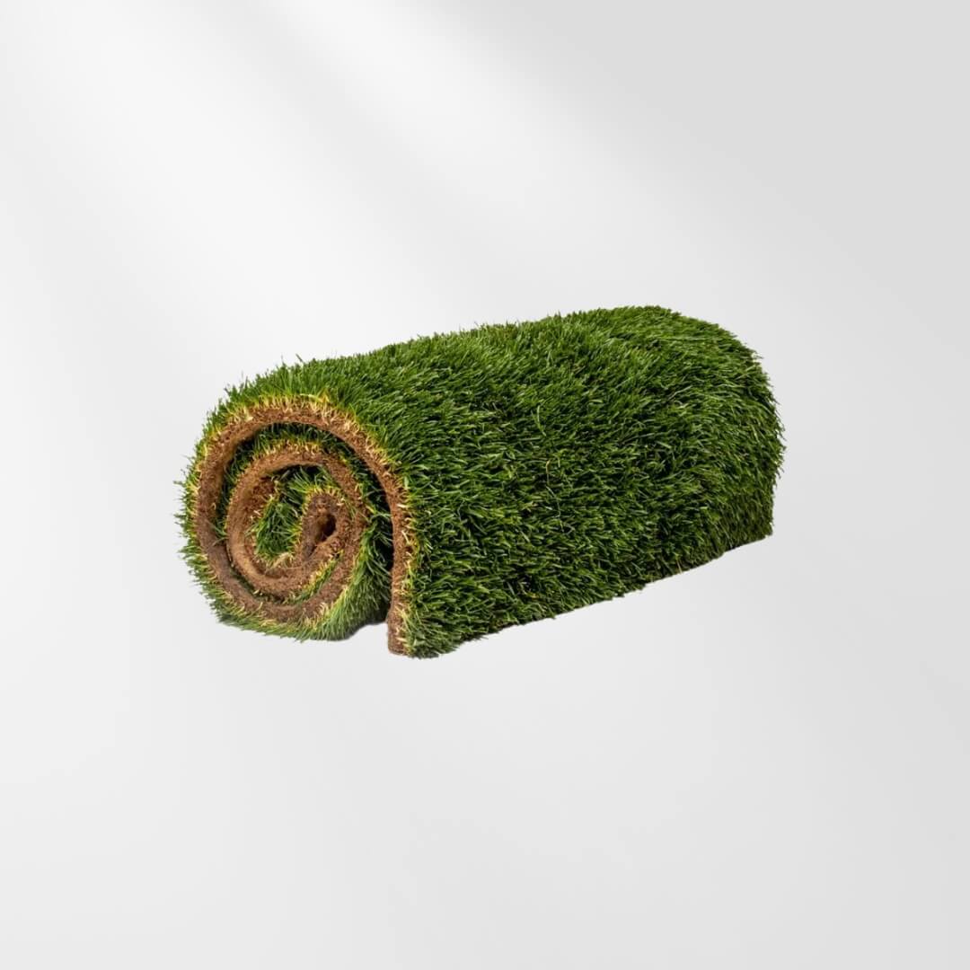 Live Grass / Live Sod