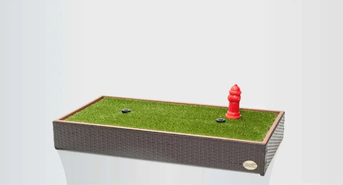 The #1 Selling Grass Litter Box for Dogs - Potty Training Made Easy
– Porch Potty USA