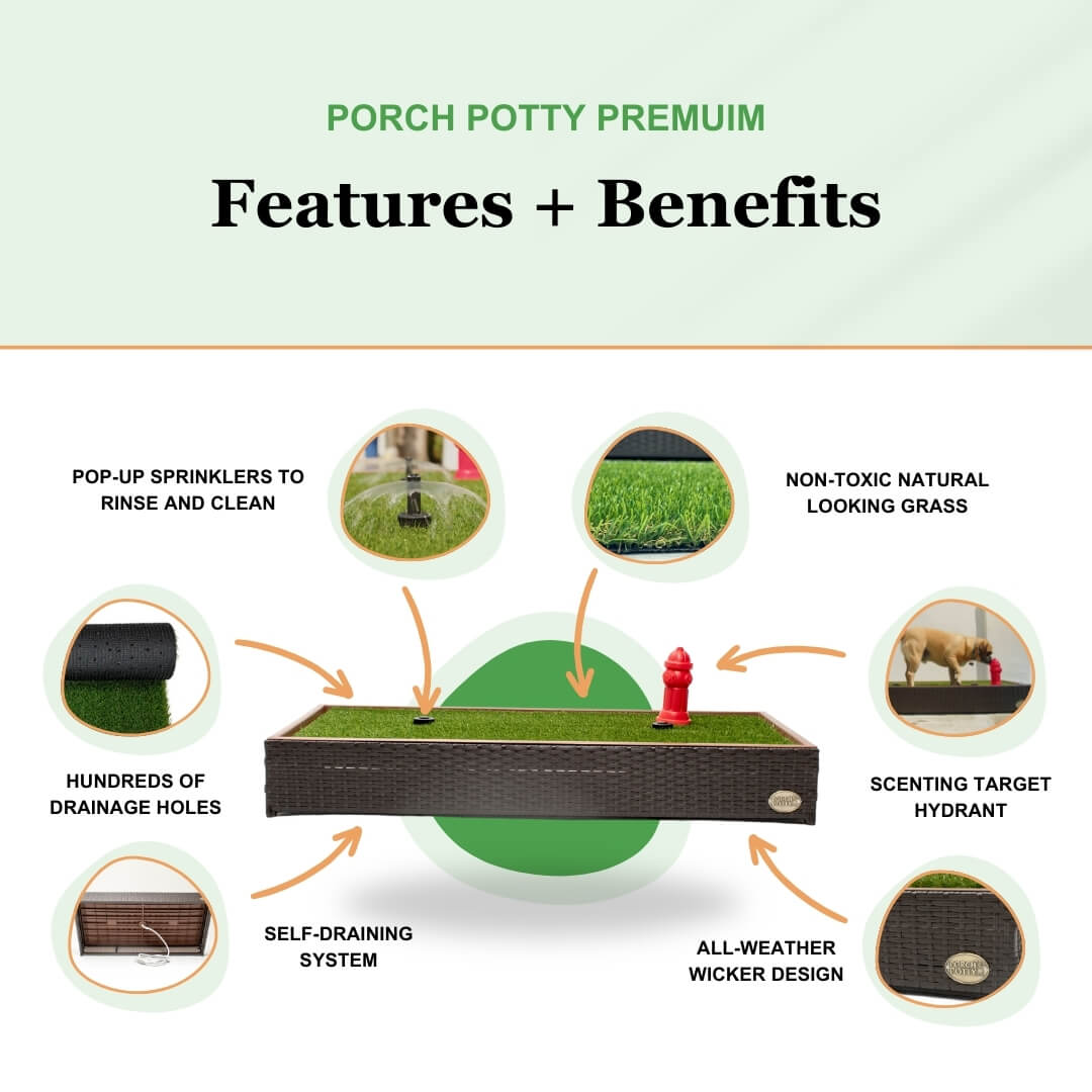 Porch Potty Premium