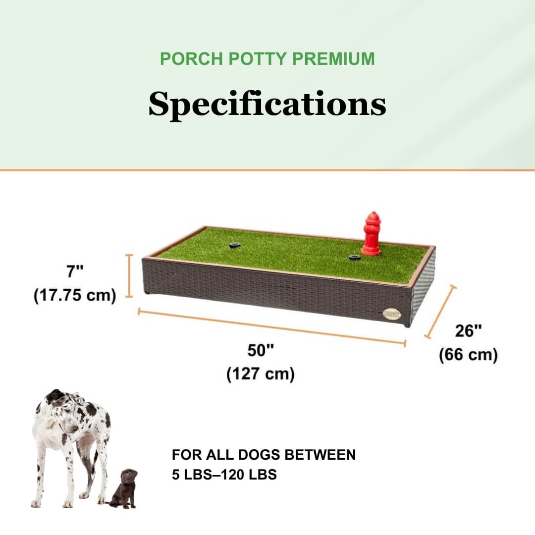 Porch Potty Premium