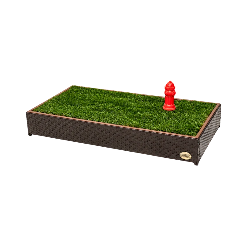 CLASSIC Standard