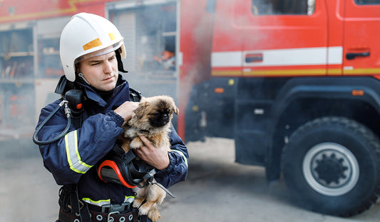 Simple Life-Saving Tips to Prevent Fires and Keep Pets Safe