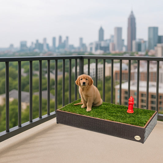Golden Retriever puppy sitting on a Porch Potty on a high-rise balcony with a cityscape view.