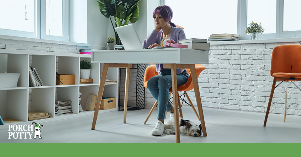 A young woman works at her desk while her puppy is curled up around her feet