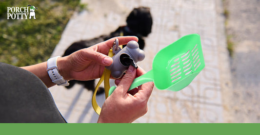 A woman holds a dog poop bag dispenser in one hand and a pooper scooper in the other as she walks her dog