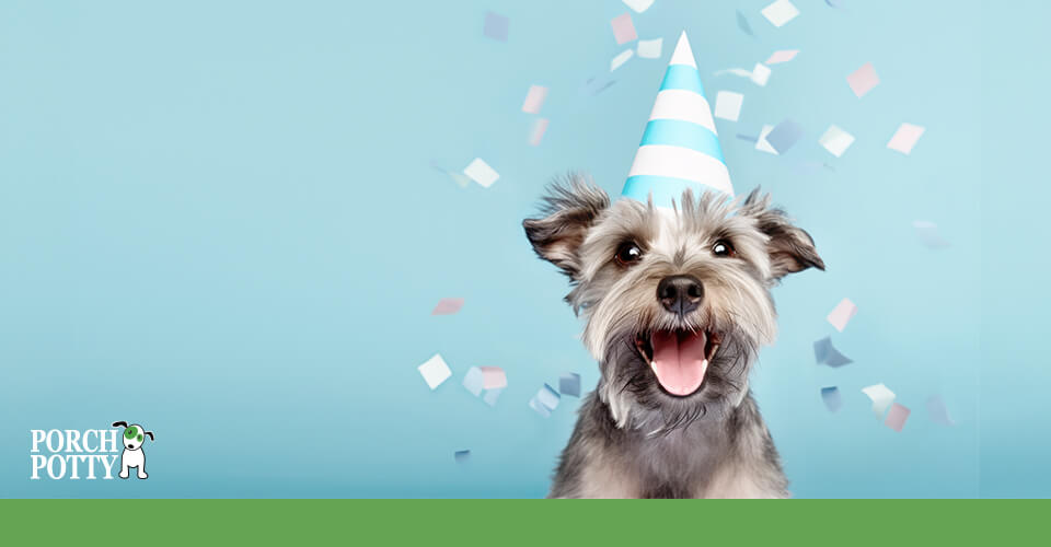 Happy dog wearing a blue and white party hat with confetti in the background, celebrating National Dog Week.