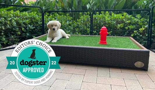 Porch Potty Snags the Dogster Editors’ Choice Award!