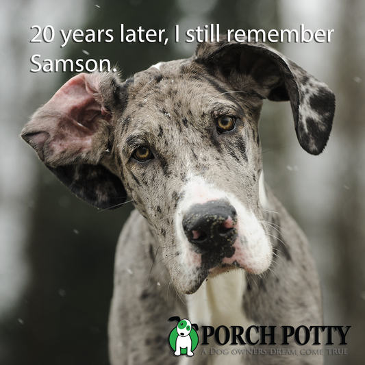 Twenty years later, I still remember Samson.