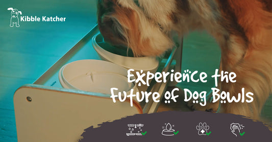 Experience the Future of Dog Bowls With the Kibble Katcher