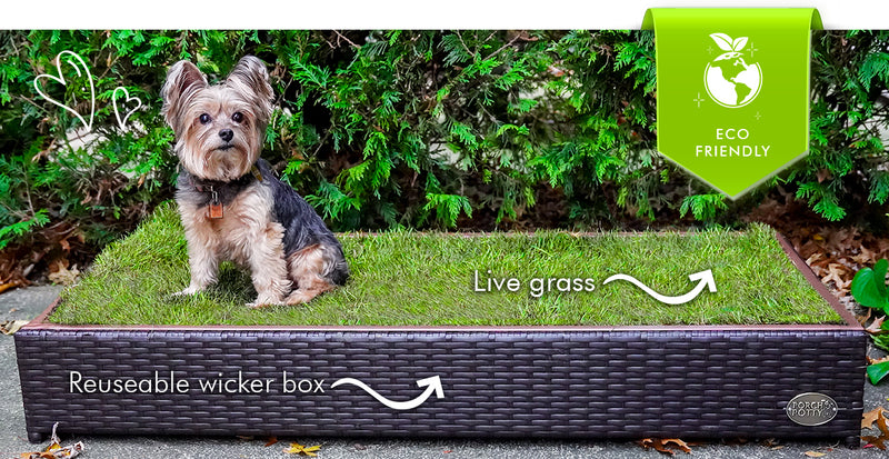 Is Porch Potty Eco (and Wallet) Friendly?