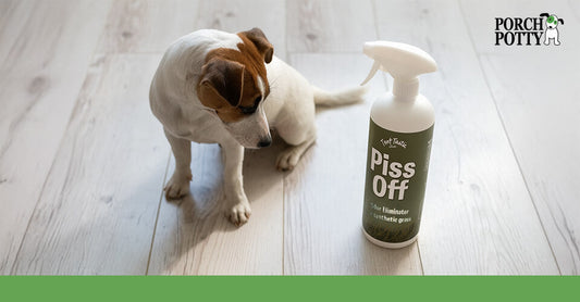 Piss Off: the first enzymatic cleaner specially formulated for dog potties