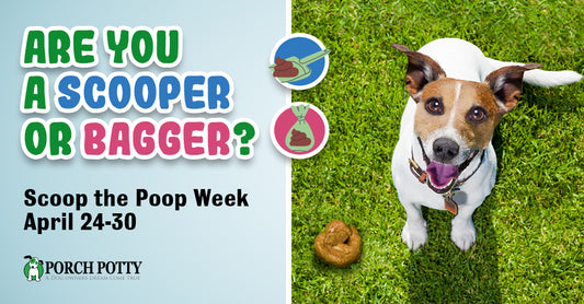 Scoop The Poop Week: Why It’s Crucial To Pick Up After Your Dog