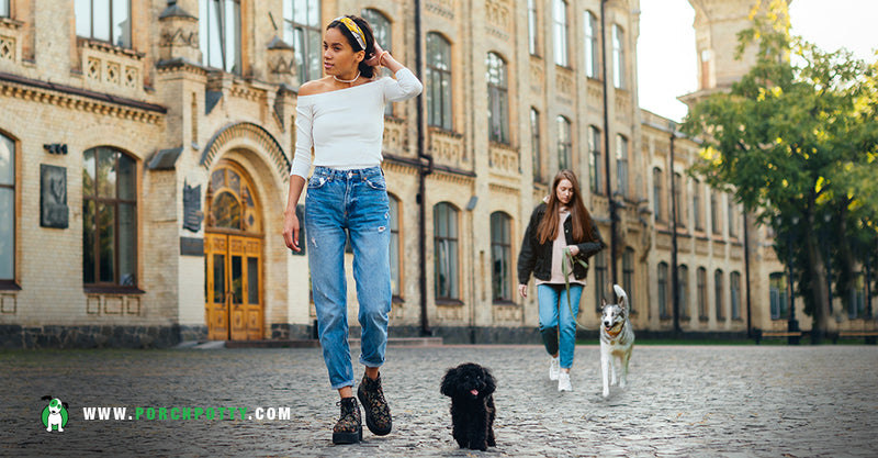 Downsizing With a Dog While Navigating the Housing Market Crisis