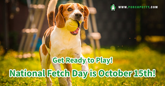 A New Twist on This Classic Dog Game: Celebrate National Fetch Day!