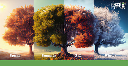 An image of a tree throughout all four changing seasons