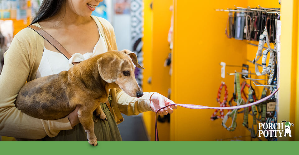 Woman holding a small dog while selecting a leash in a brightly colored pet store.