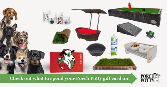 12 Ways to Spend Your Porch Potty Gift Card