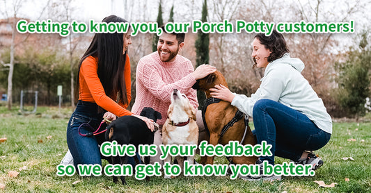 Dog Tested, Pawrent Approved: How is Porch Potty Doing?