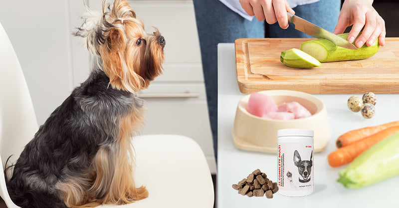 Is Your Dog Nutrient Deficient?