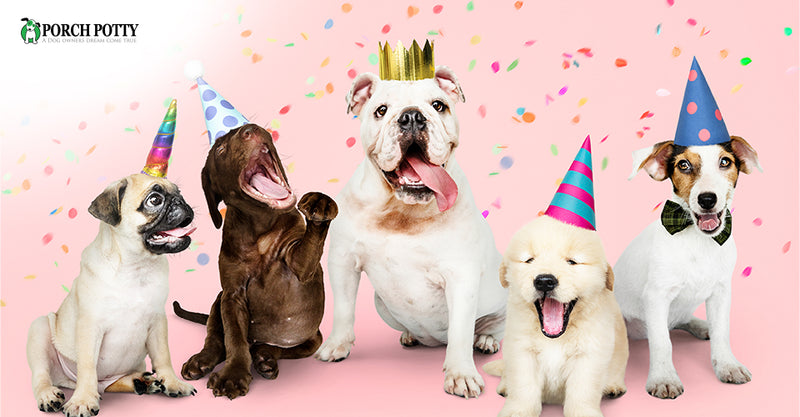 No Kids? No Problem! Puppy Showers are All the Rage Now!