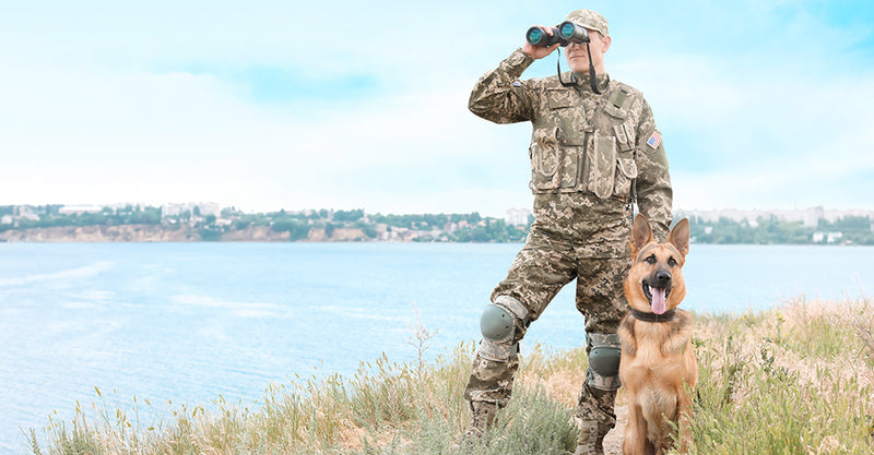 Military Dogs: What They Do For Us And How To Return The Favor