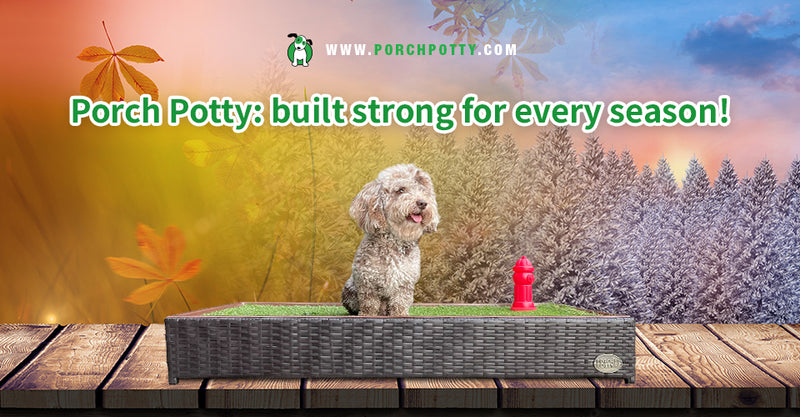 How To Clean Your Porch Potty Depending on Where You Live