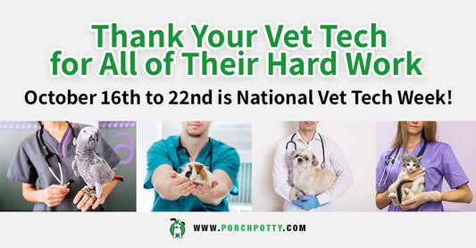 How To Thank Your Vet Tech For Their Outstanding Work!