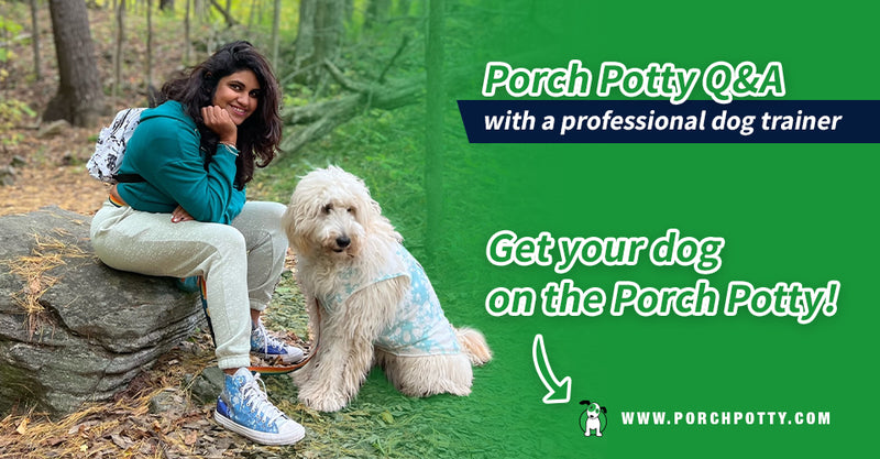 Get to Know Siddhika Bhat: Porch Potty's Official Dog Trainer