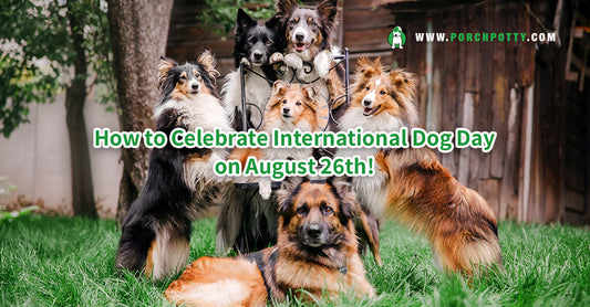 6 Pawsome Things To Do On International Dog Day!