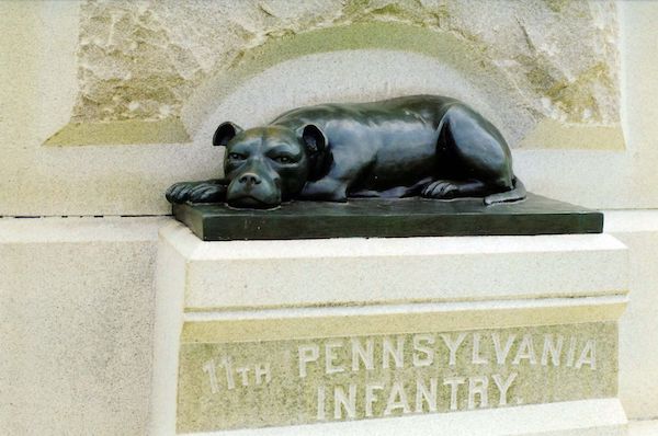 3 Amazing Stories of Military Dogs That Will Inspire You
