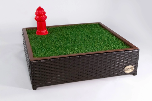 5 Essential Features that make Porch Potty’s Synthetic Grass the Best