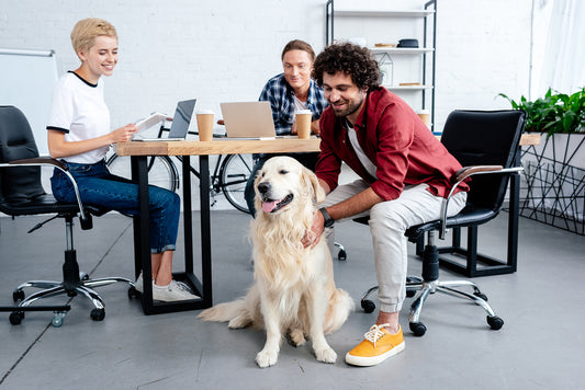 Make 2021's Take Your Dog to Work Day the Best YET