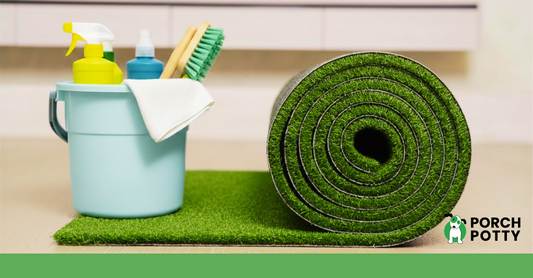Rolled artificial grass beside a bucket of cleaning supplies on synthetic turf.