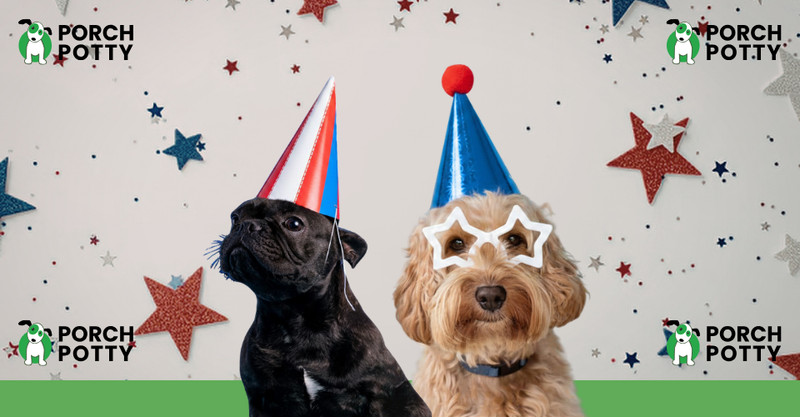 Two dogs wearing festive red, white, and blue party accessories.