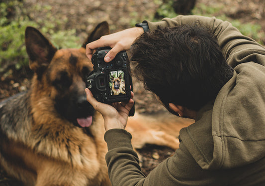 Take Amazing Dog Pics with These Simple Steps