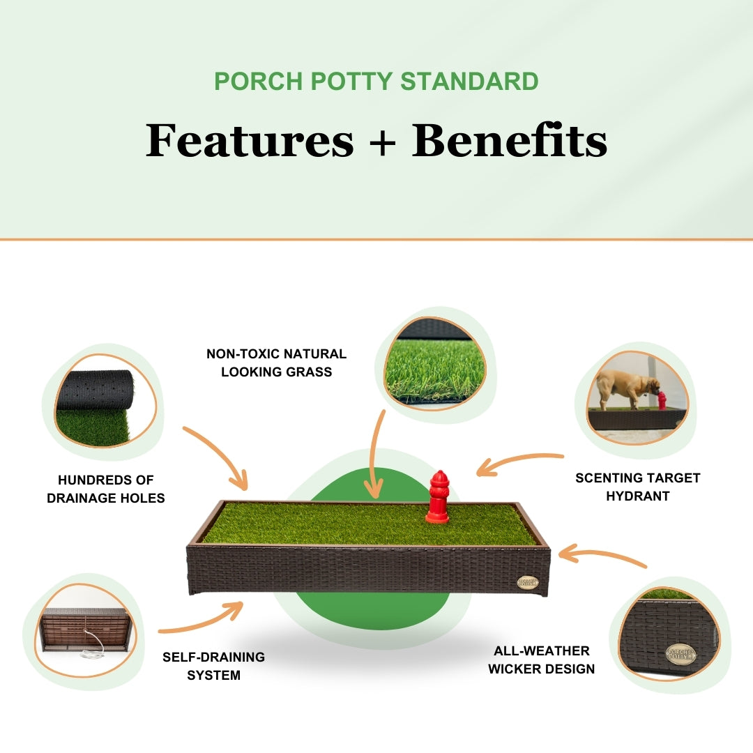 Porch Potty Standard