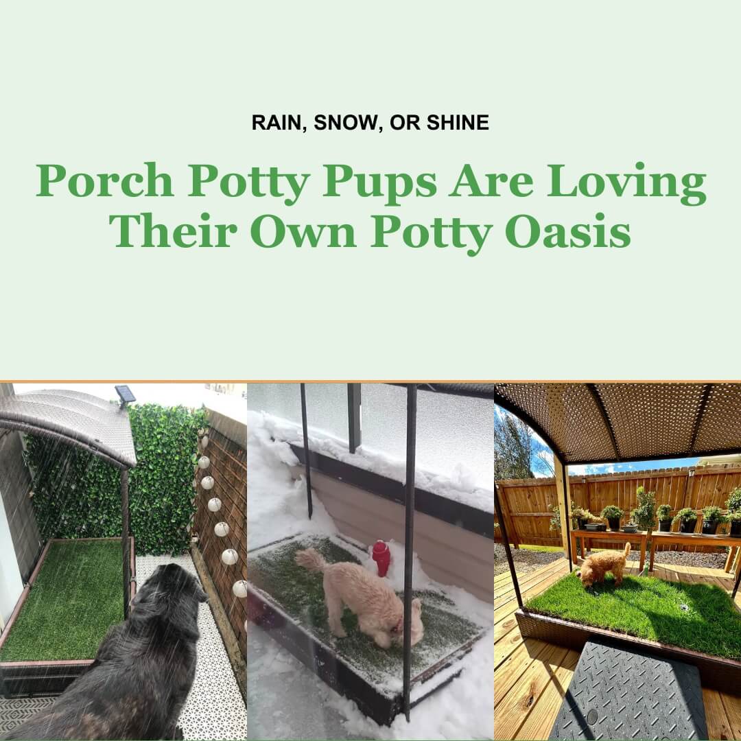 Covered dog potty area best sale