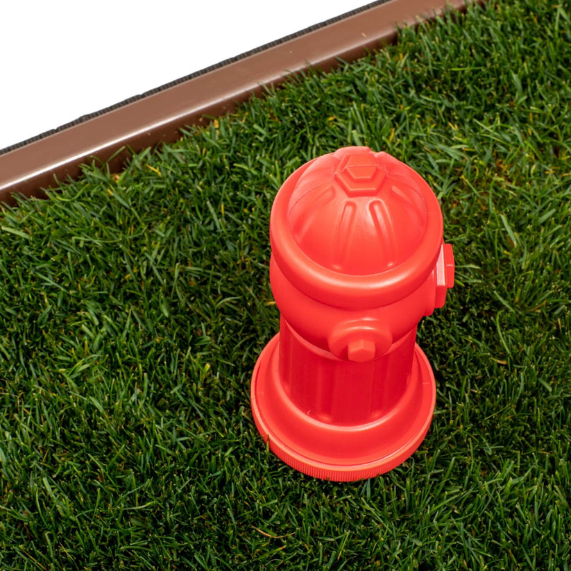 Scenting Fire Hydrant for Dog Potty Training Porch Potty USA