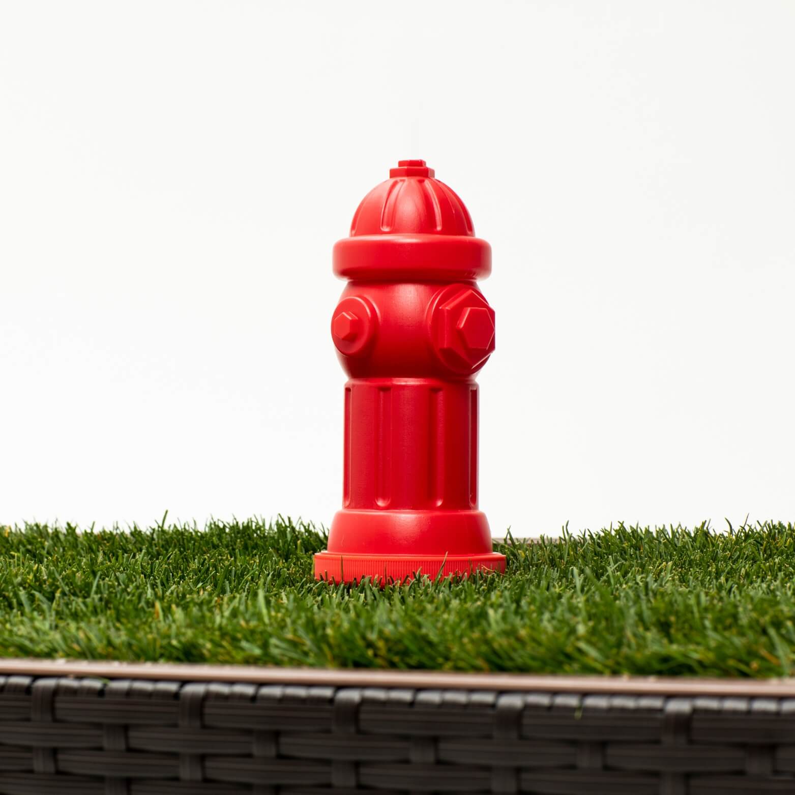 Top paw potty time fire outlet hydrant