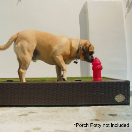 Scenting Fire Hydrant for Dog Potty Training Porch Potty USA