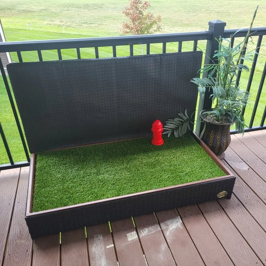 gid://shopify/MediaImage/31568114188332