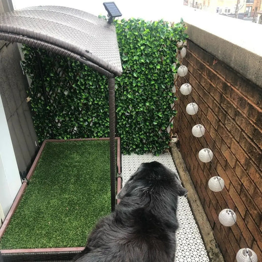 gid://shopify/MediaImage/31568114450476