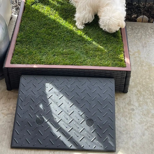 gid://shopify/MediaImage/35760535797804