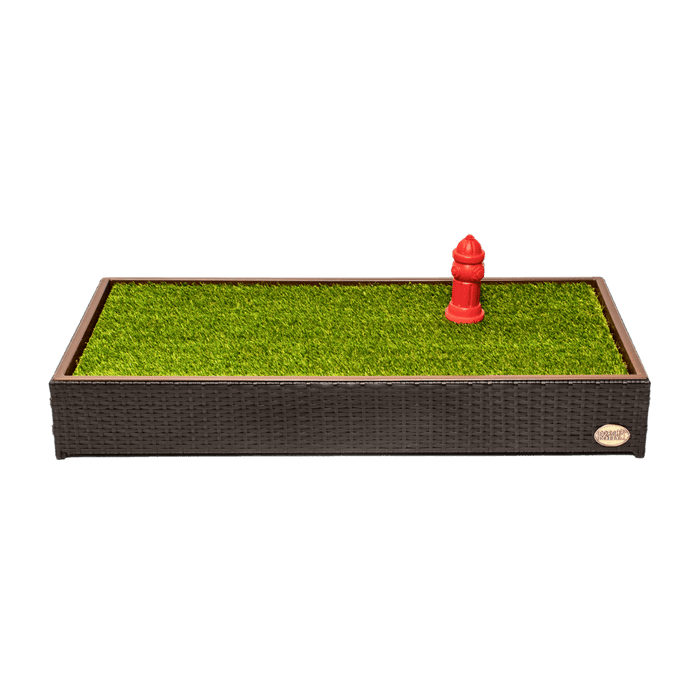 CLASSIC Standard
