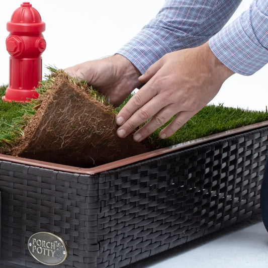 gid://shopify/MediaImage/31558021414956