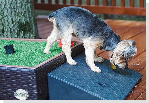 Porch Potty Ramp - Dog Toilet Training Accessories - Porch Potty 